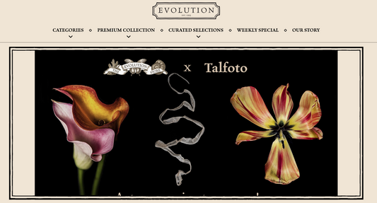 Talfoto Art PopUp at The Evolution Store. Soho, NYC.