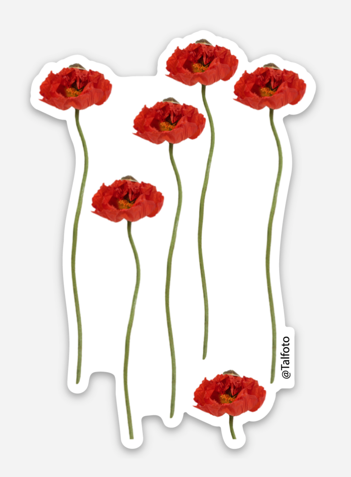 Red Flower Blossoms