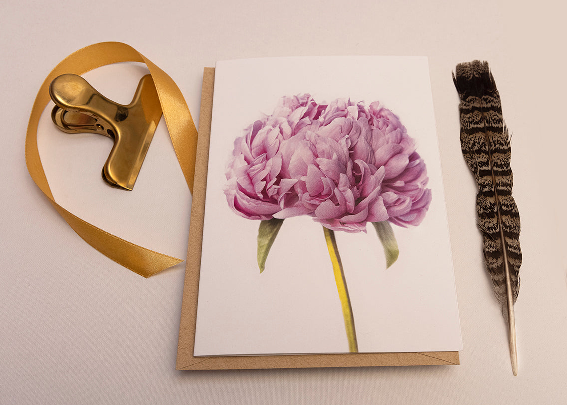 PEONY LOVE