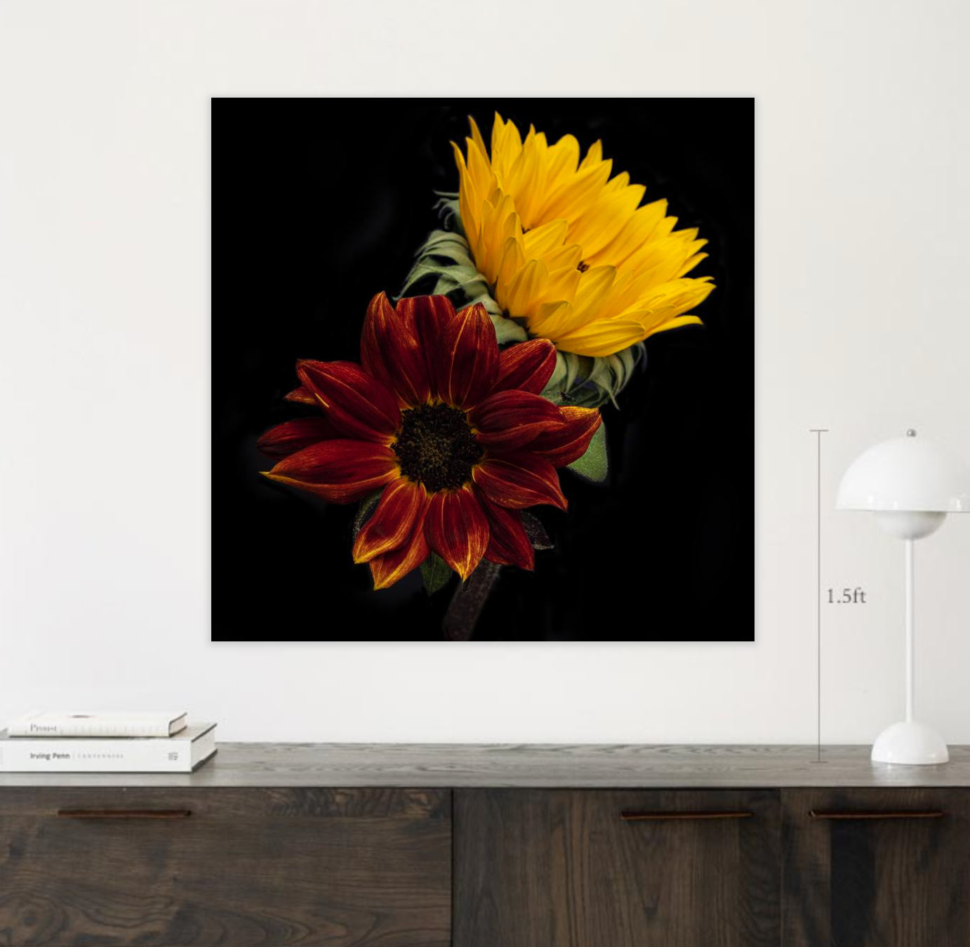 Fall Sun Prints by Artist Photographer Tal Shpantzer