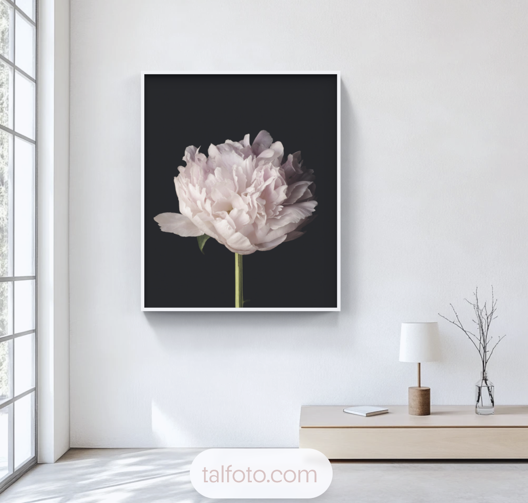 Shop Art Prints