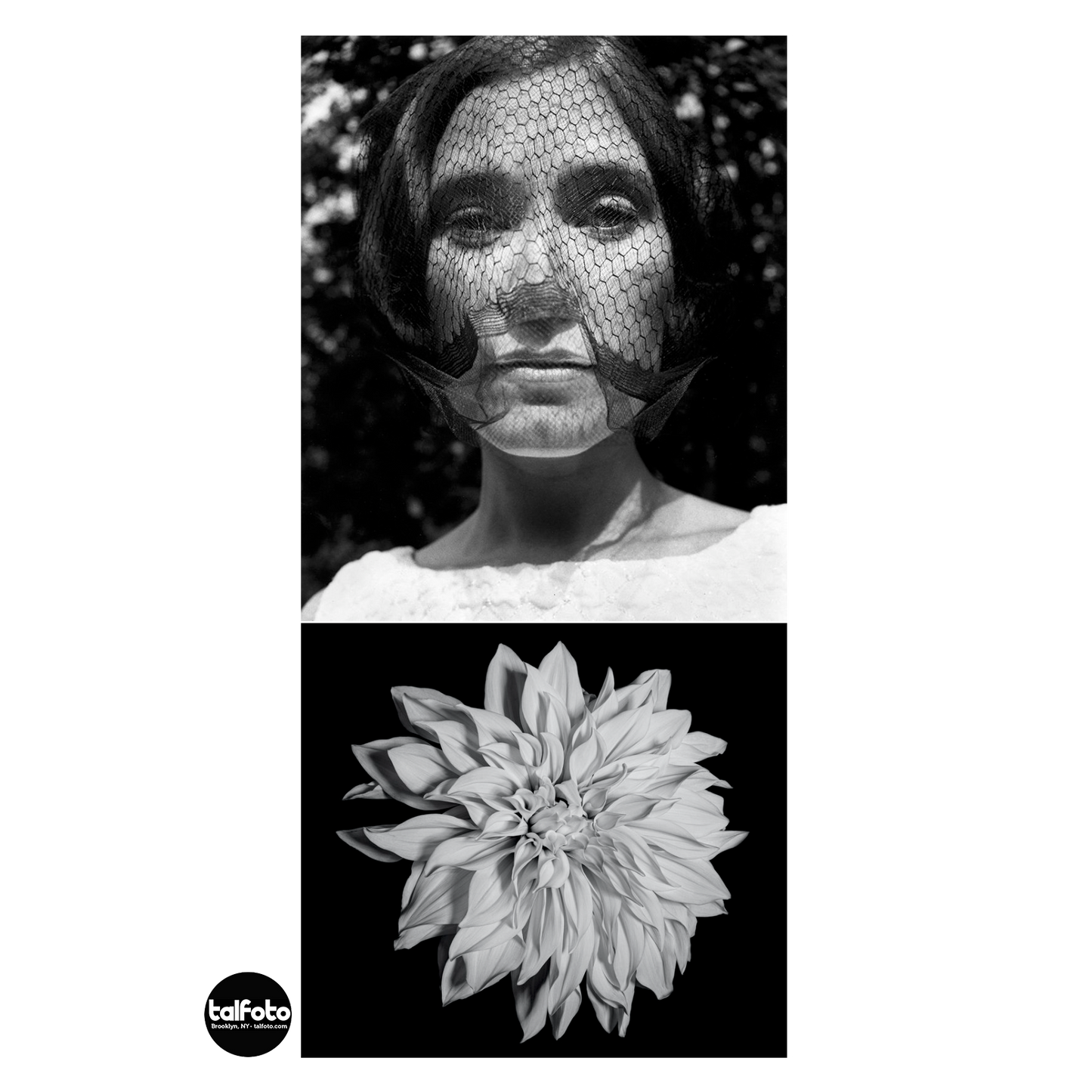 Portrait / Photo Studio Session Gift