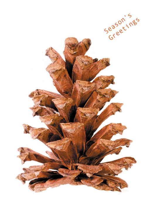 Happy Holiday's -Pine Cone - Lux Greeting Card