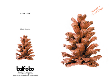 Happy Holiday's -Pine Cone - Lux Greeting Card