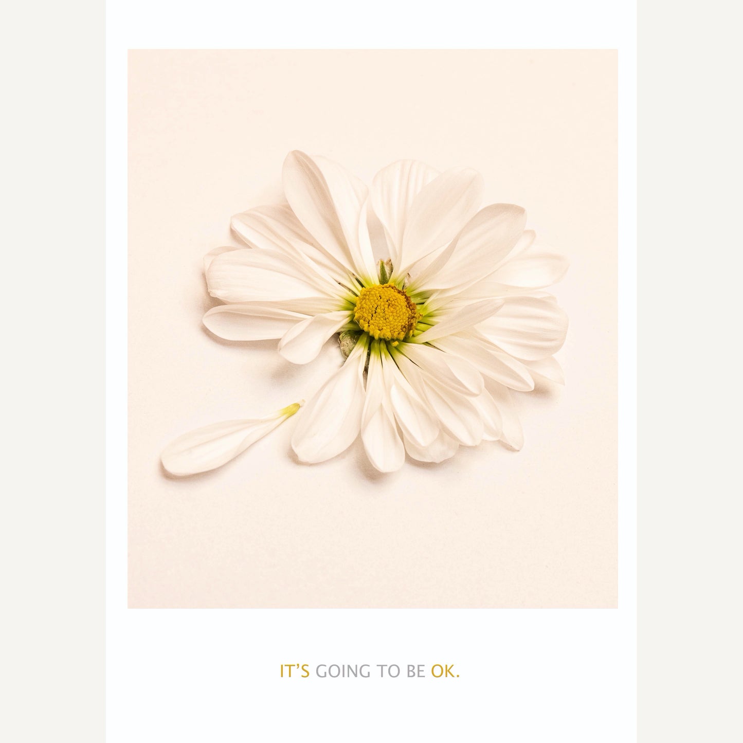 It’s Going To  Be OK.