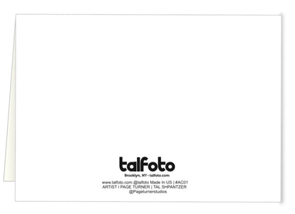 Artist Collab Page Turner + Tal Shpantzer