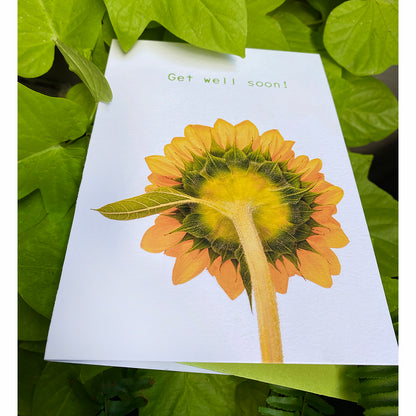 Uplifting  Sunflower - Get well soon!