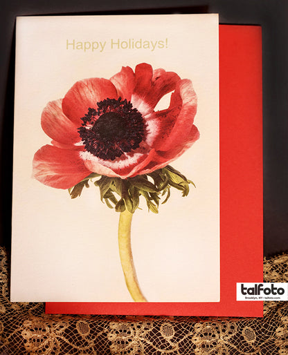 Notecard variety value pack | Holiday, all occasion, birthday, wild card mix - Box Set