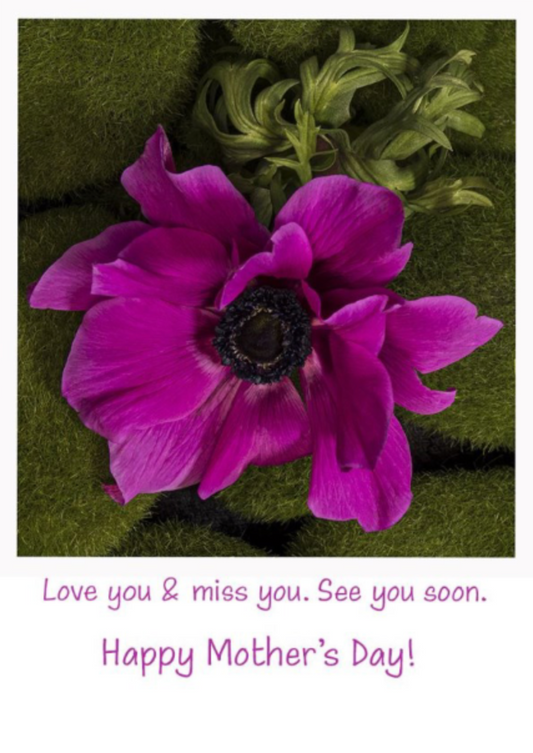 Mother's Day Miss You Love Card
