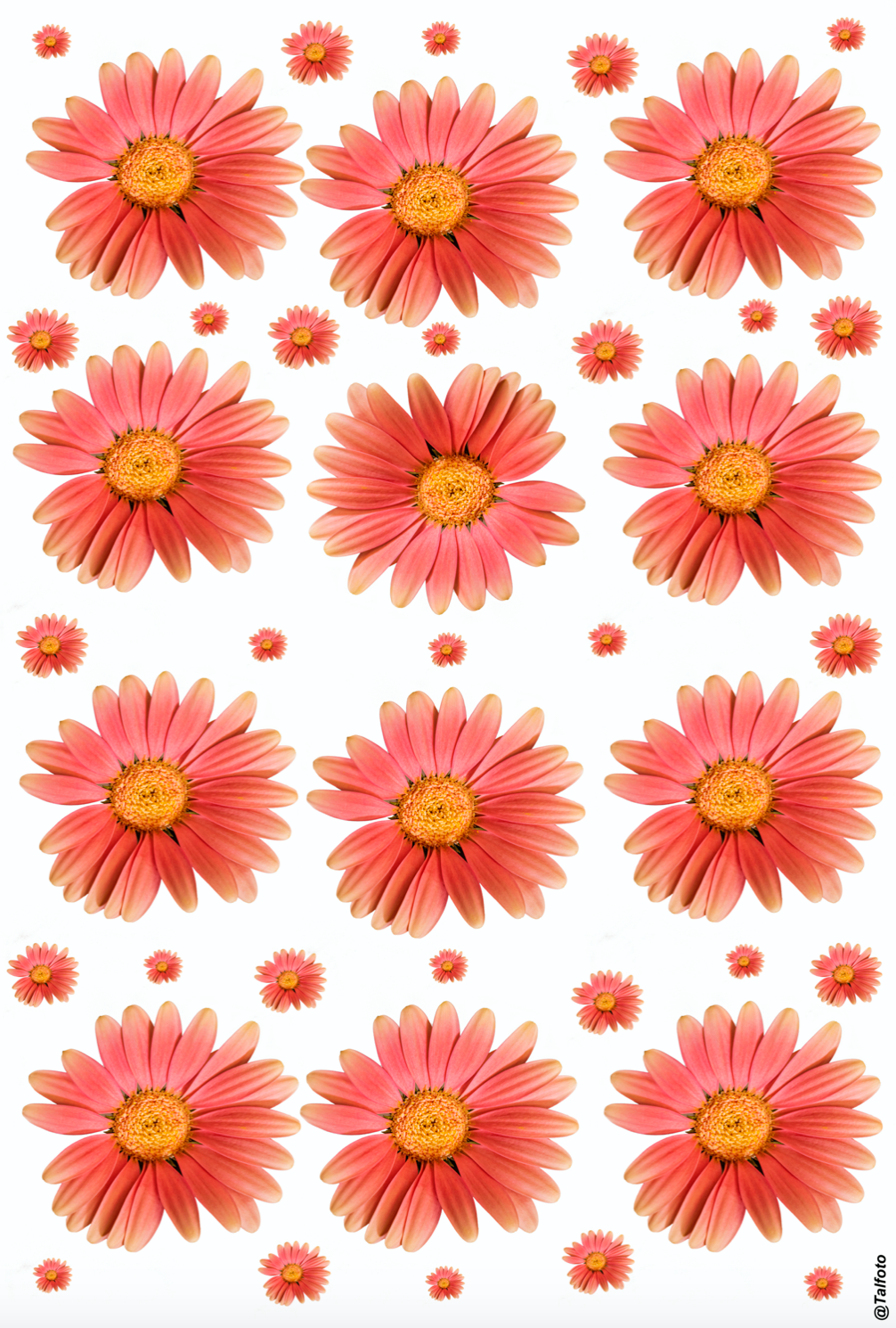 Happy Blooms - Wrapping Paper - Set of 3 Sheets