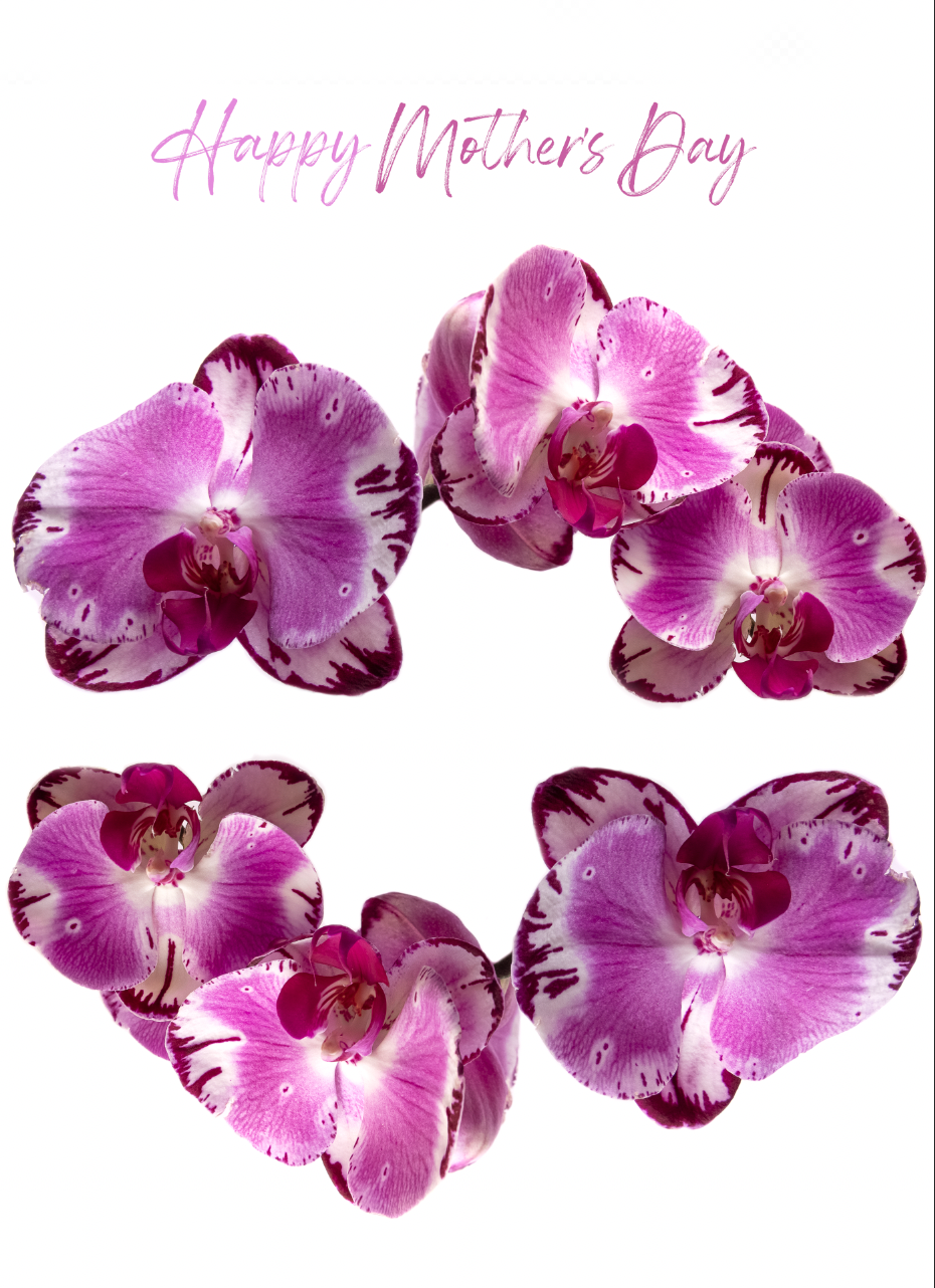 Happy Mother's Day | ORCHIDS HEART CIRCLE Notecard