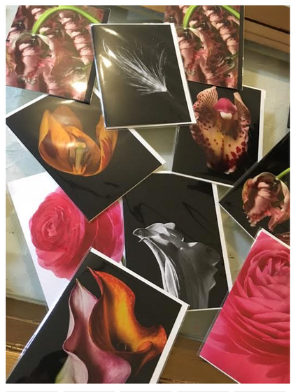 Botanical Notecards, Gift BoxSet