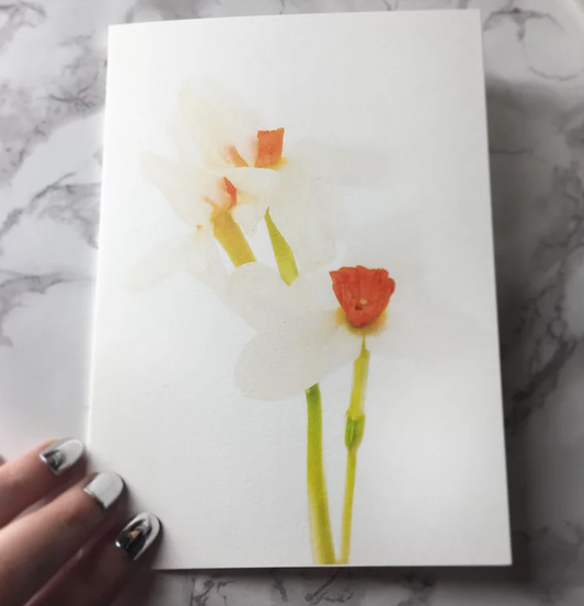 Spring Daffodiles