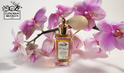 PÉTALES Eau de Parfum by Talfoto | Euphorium Brooklyn in 50ml and 30ml, 8ml decants 3.3ml Tester