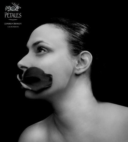 PÉTALES Eau de Parfum by Talfoto | Euphorium Brooklyn in 50ml and 30ml, 8ml decants 3.3ml Tester