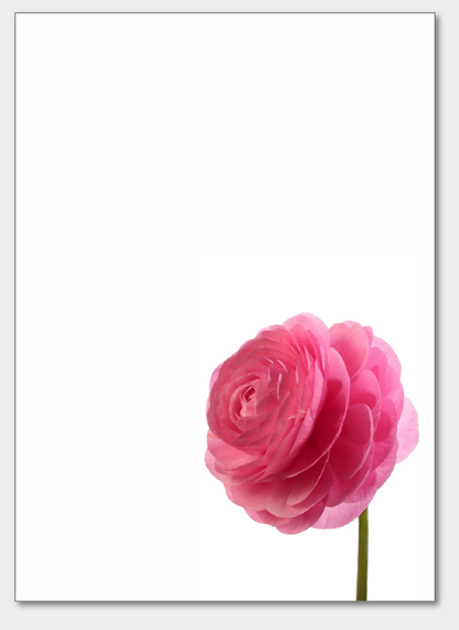 Ranunculus Notepad