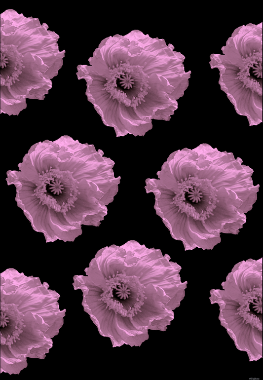 NEW PINK POPPIES B&W - Wrapping Paper - Set of 3 Sheets