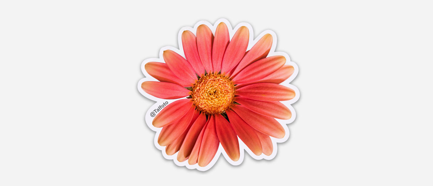 NEW Flower & Plant Sticker Bundle