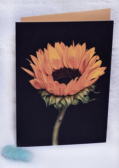 Mother's Day - Uplifting Botanical Cards Gift Set